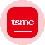 TSMon图标